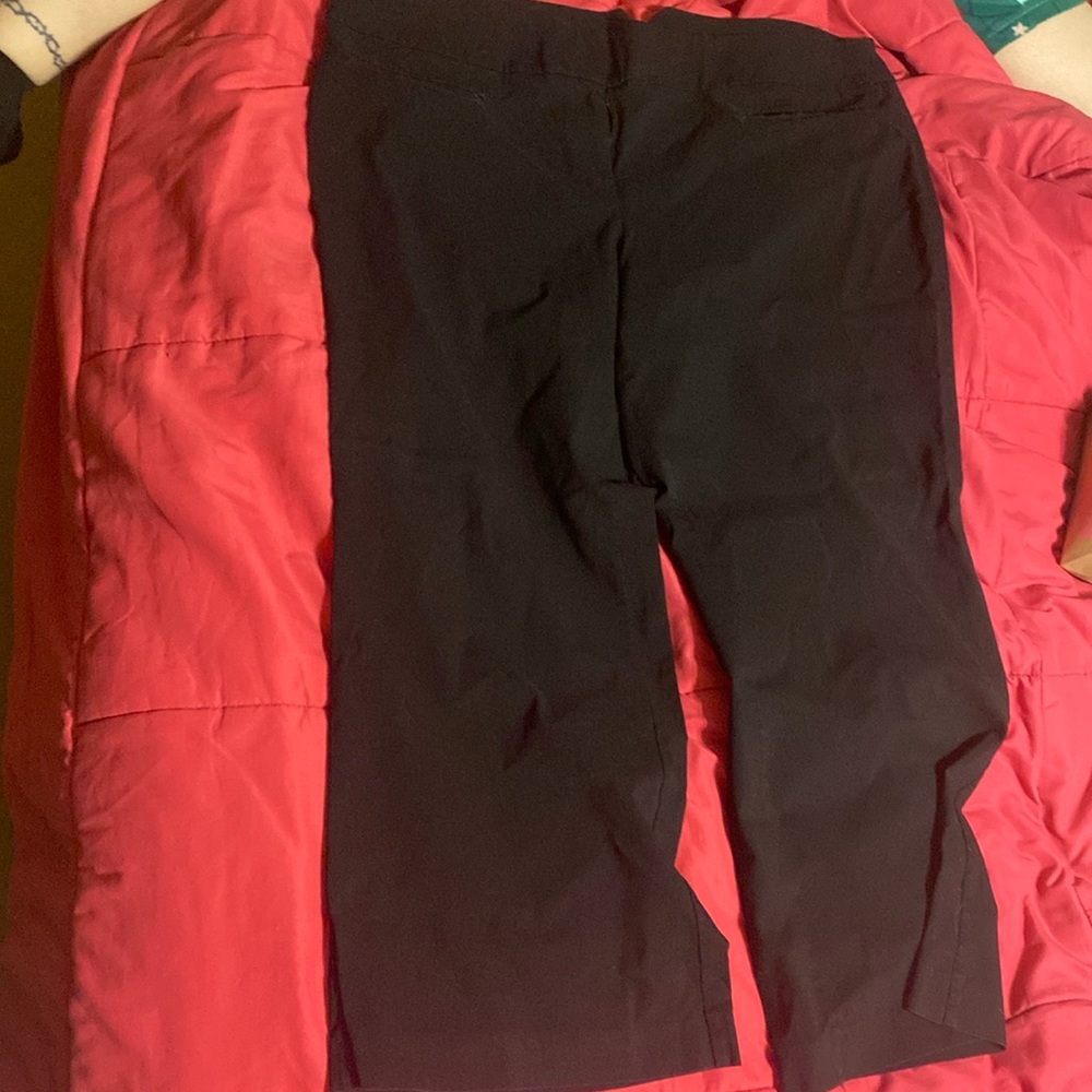 Black slacks. Lane Bryant